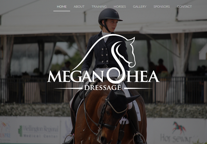 Screenshot of Megan Shea's website